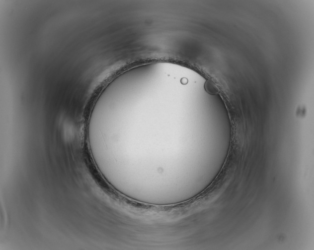 X0000090700016200707271119