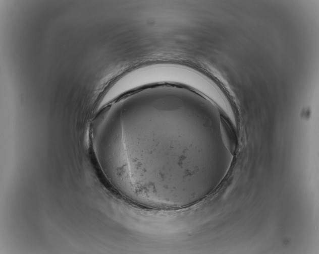 X0000090700019200707271119