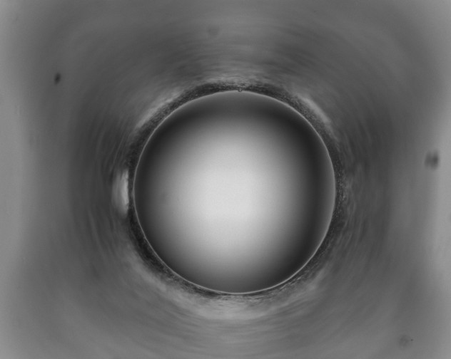 X0000090700020200707271119