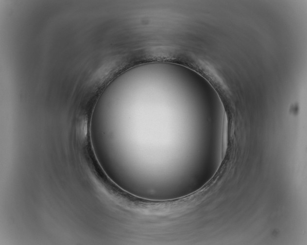 X0000090700021200707271119