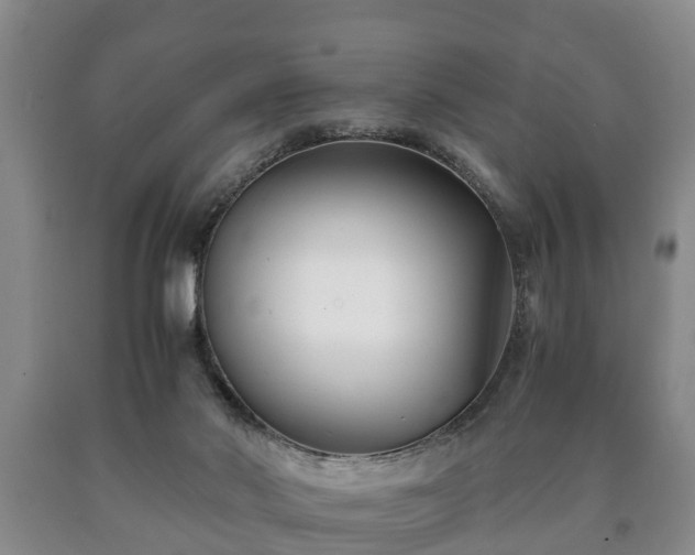 X0000090700022200707271119