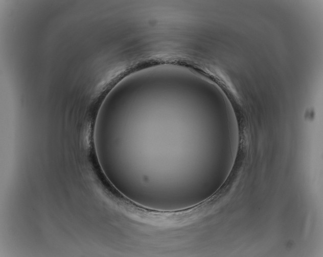 X0000090700023200707271119