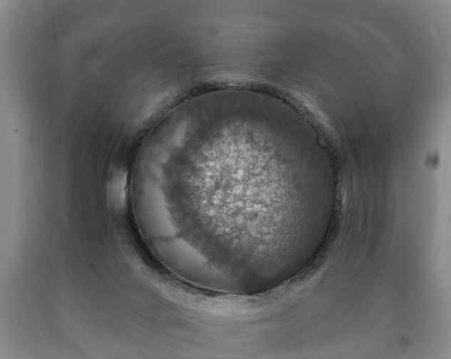 X0000090700024200707271119