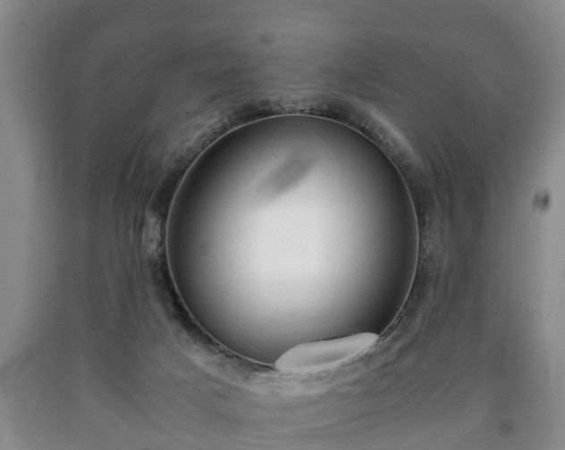 X0000090700025200707271119