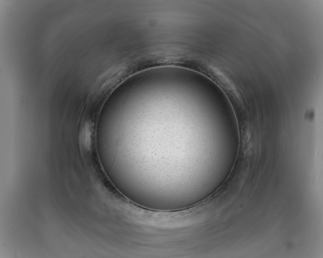 X0000090700026200707271119