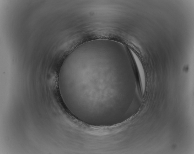 X0000090700029200707271119