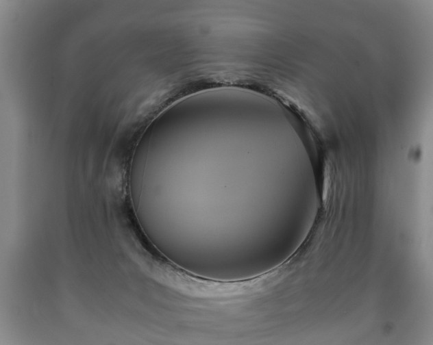 X0000090700031200707271119