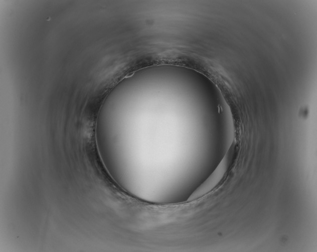 X0000090700033200707271119