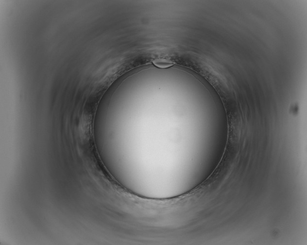 X0000090700034200707271119