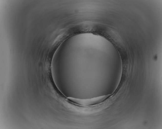 X0000090700035200707271119