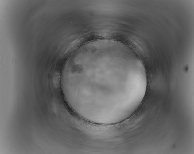 X0000090700036200707271119