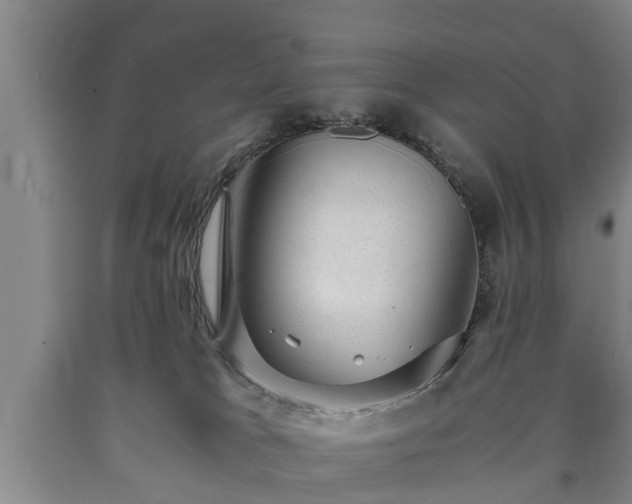 X0000090700037200707271119