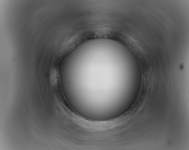 X0000090700038200707271118