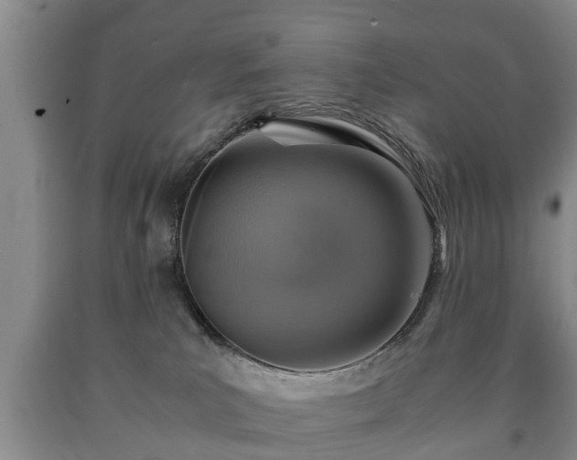 X0000090700039200707271118