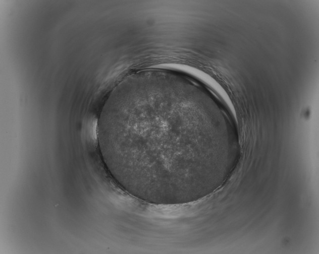 X0000090700041200707271118