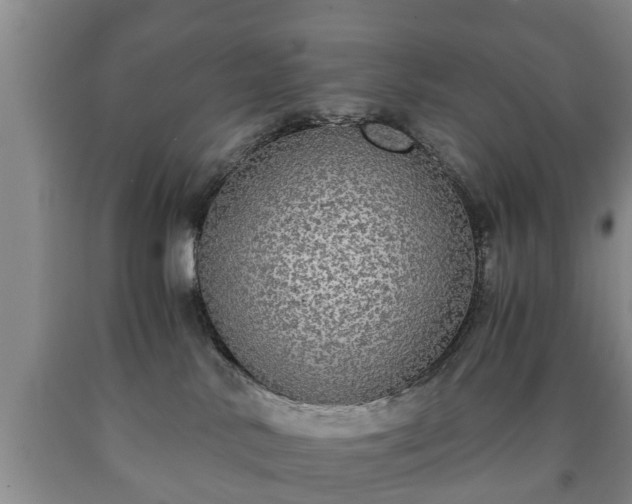 X0000090700042200707271118