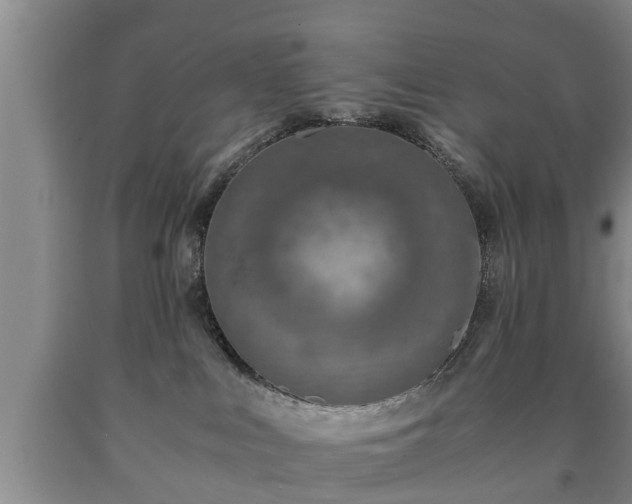 X0000090700043200707271118