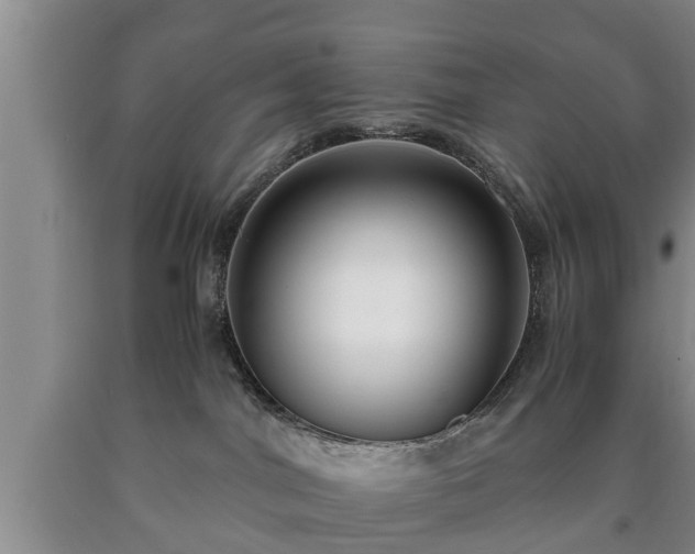 X0000090700044200707271118