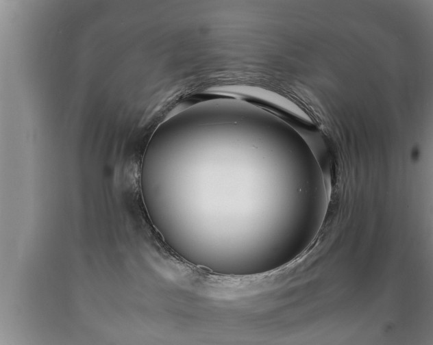 X0000090700045200707271118