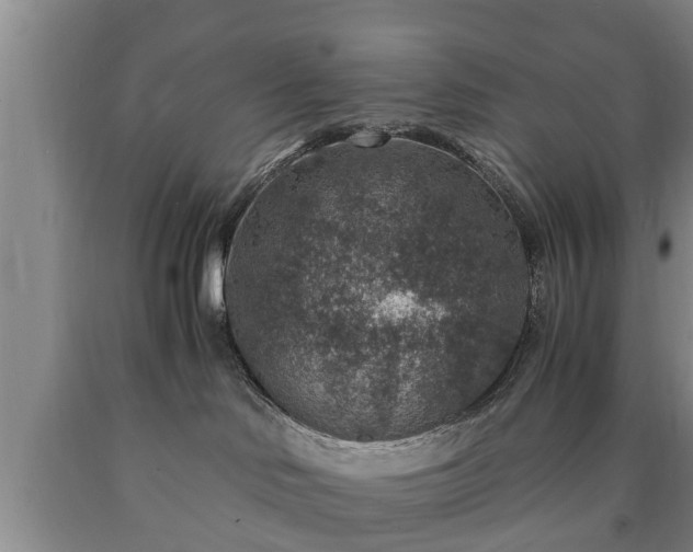 X0000090700046200707271118