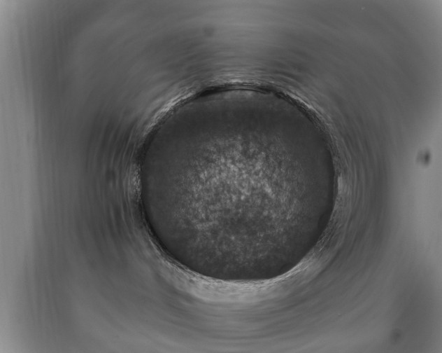 X0000090700048200707271118