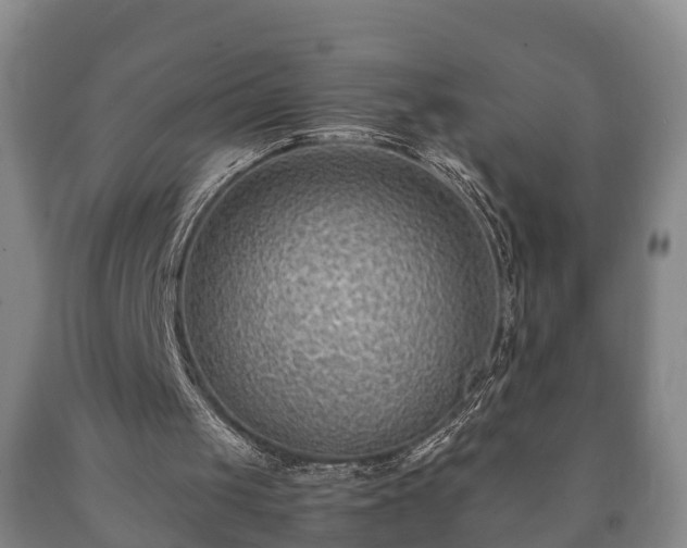 X0000090700049200707271118