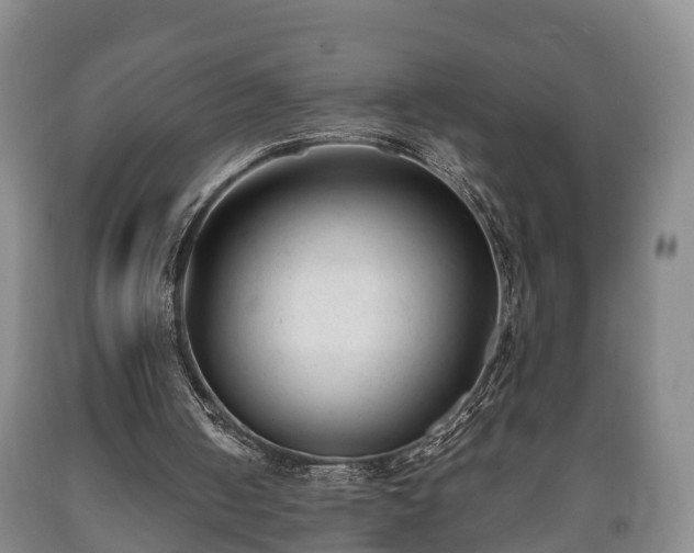 X0000090700050200707271118