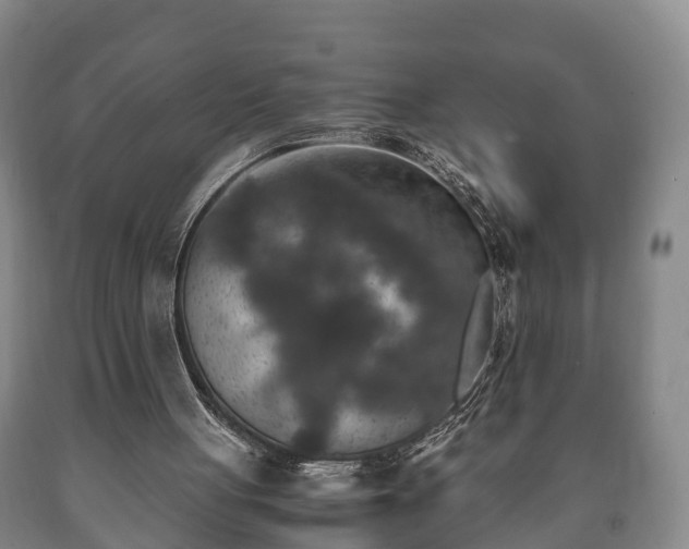 X0000090700051200707271118