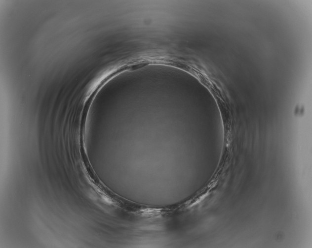 X0000090700052200707271118