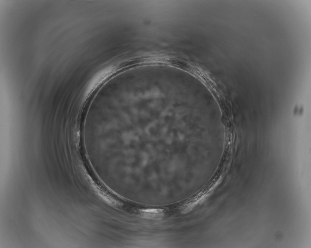 X0000090700053200707271118