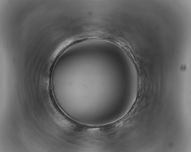 X0000090700054200707271118