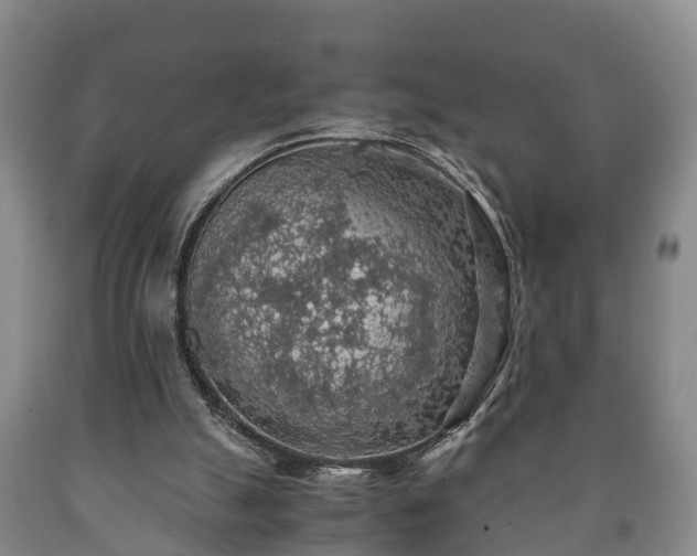 X0000090700055200707271118