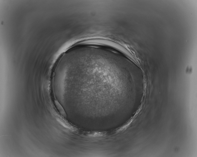 X0000090700056200707271118