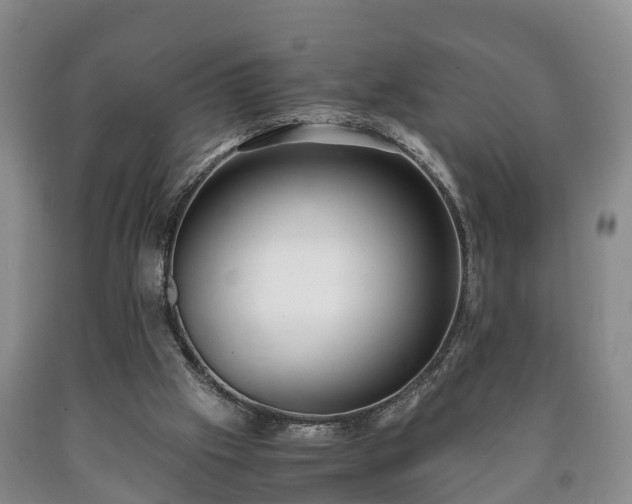 X0000090700057200707271118