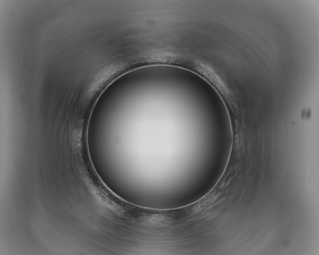 X0000090700058200707271118