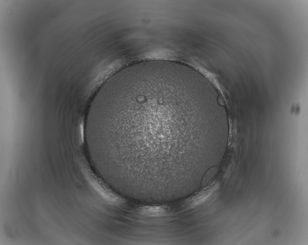 X0000090700061200707271118