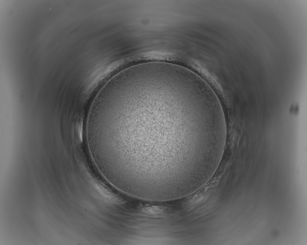 X0000090700062200707271118