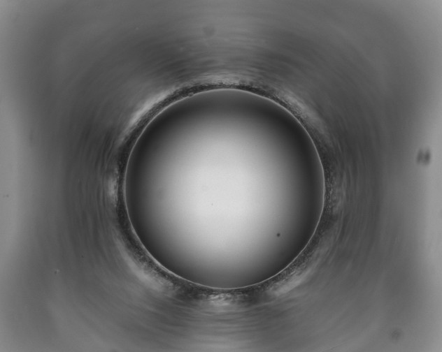 X0000090700064200707271118