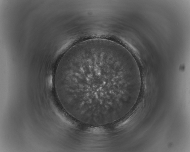 X0000090700067200707271118