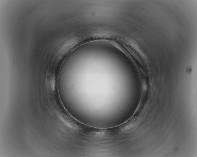 X0000090700068200707271118