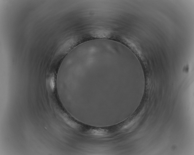 X0000090700069200707271118