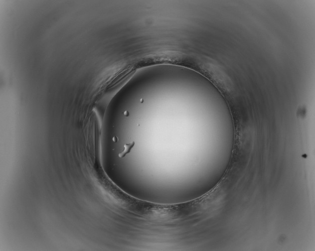 X0000090700070200707271118