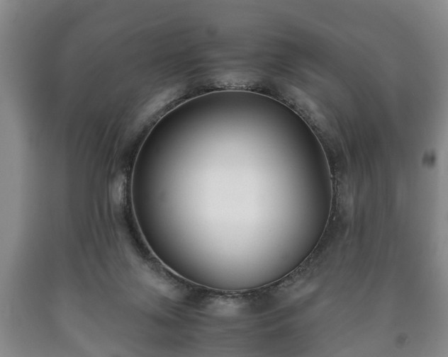 X0000090700071200707271118