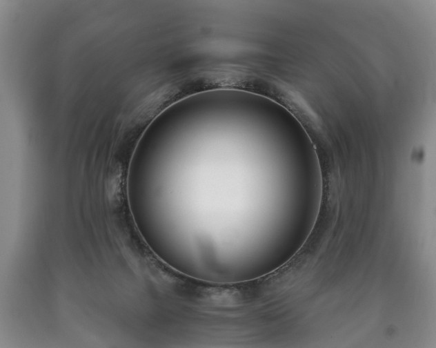 X0000090700073200707271118