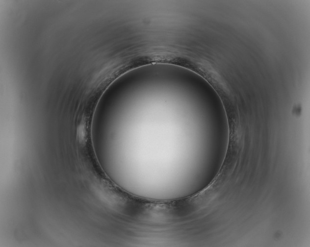 X0000090700074200707271118