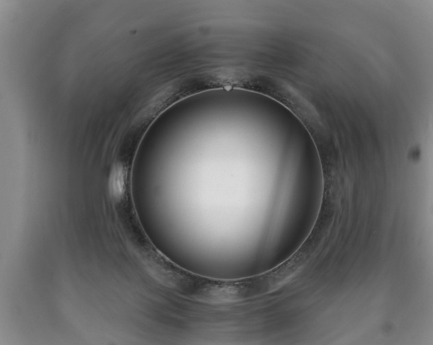 X0000090700075200707271118