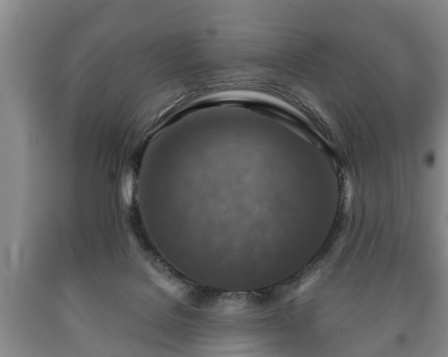 X0000090700076200707271118