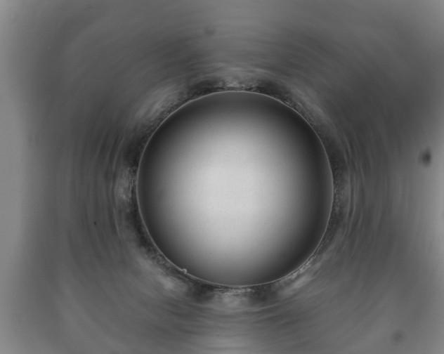 X0000090700078200707271118