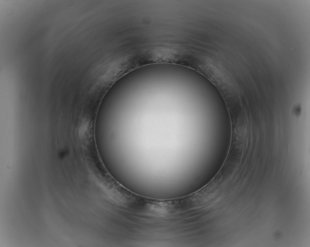 X0000090700079200707271118