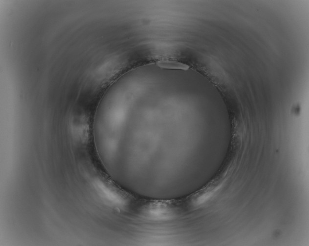 X0000090700080200707271118